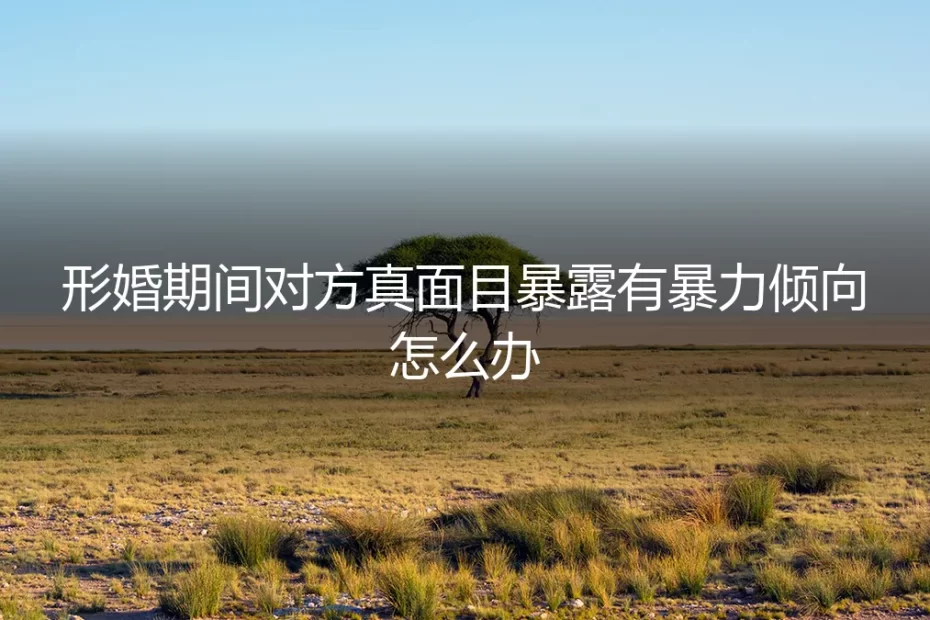 形婚危机：当对方在婚姻中暴露暴力倾向，如何自保与破局？