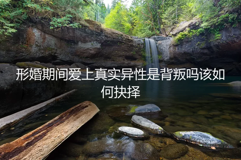 形婚围城里的心动：当真实的爱情意外降临