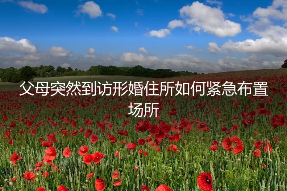 父母突然到访形婚住所：紧急应对策略与风险规避指南