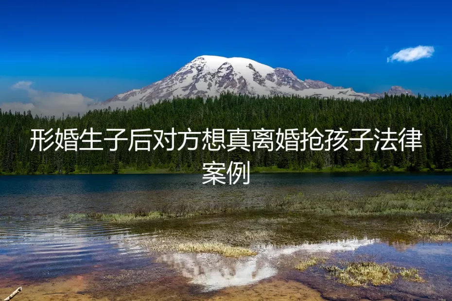 形婚生子后对方反悔欲“真离婚”争抚养权：一个真实案例的法律与情感困局