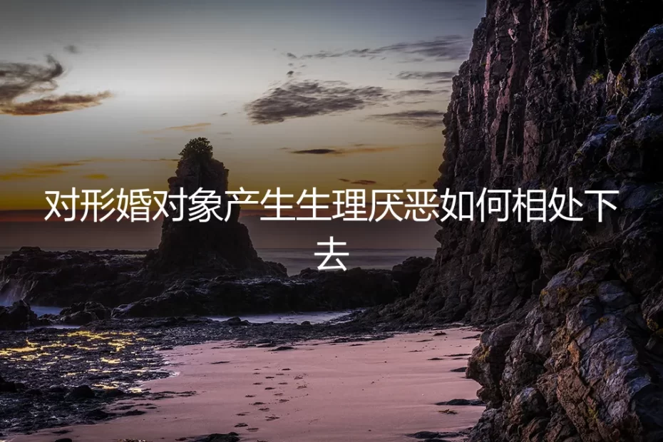 当亲密变成负担：我与形婚伴侣的“距离”修行