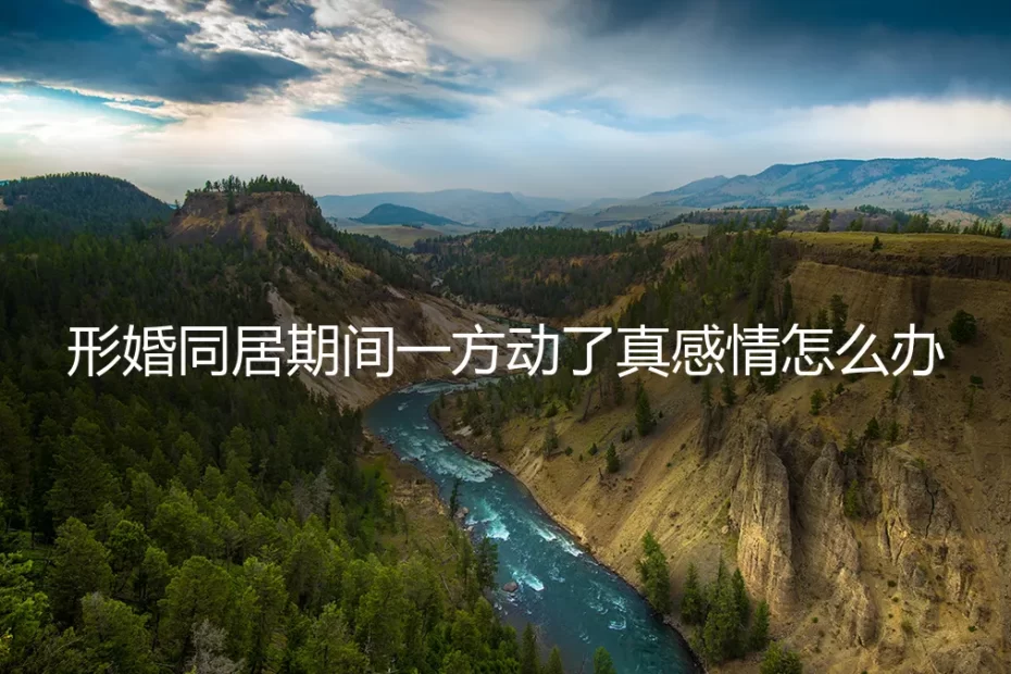 形婚同居期间，一方动了真感情怎么办？真实困境与理性破局