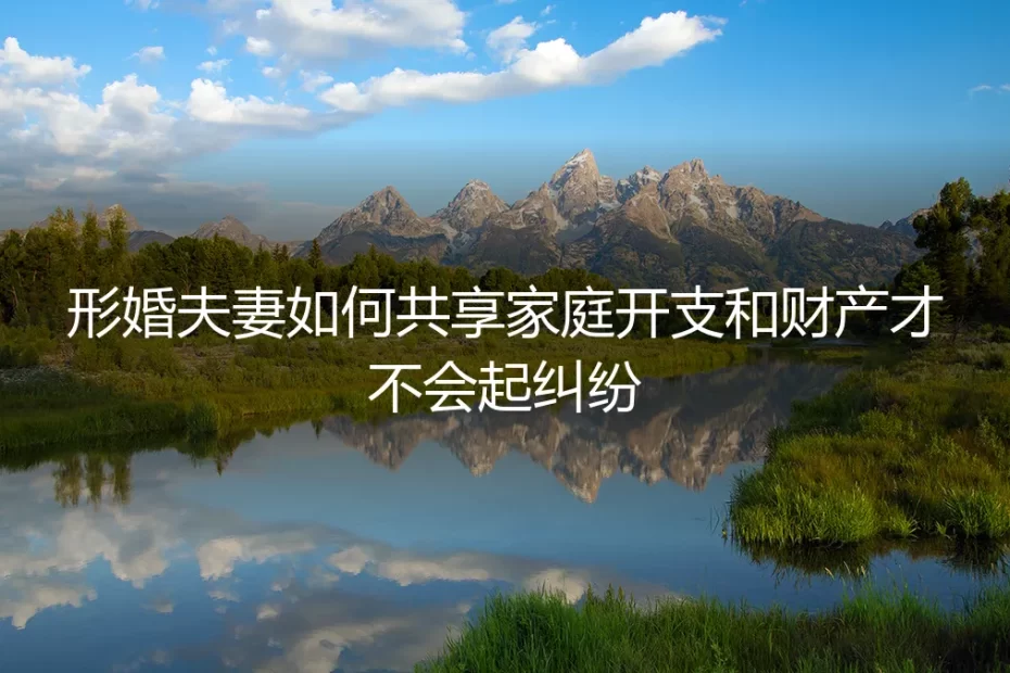 形婚避坑指南:保姆级实操,如何共享家庭开支与财产才能不翻车