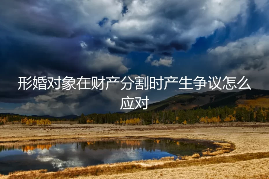 形婚财产分割争议应对指南：从协议签订到纠纷处理的保姆级避坑手册