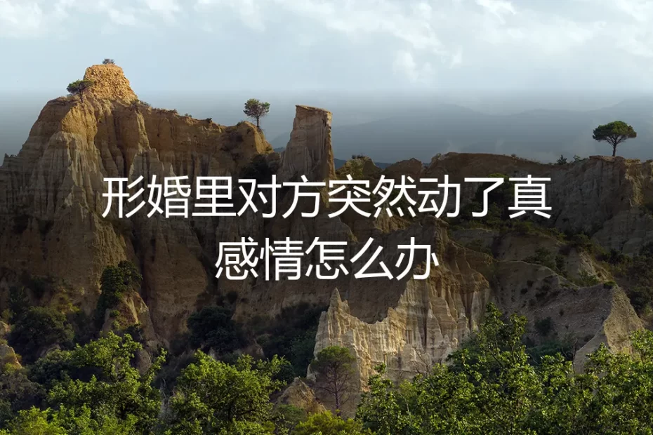 当协议婚姻的边界被叩响：他动情了，我该如何自处？