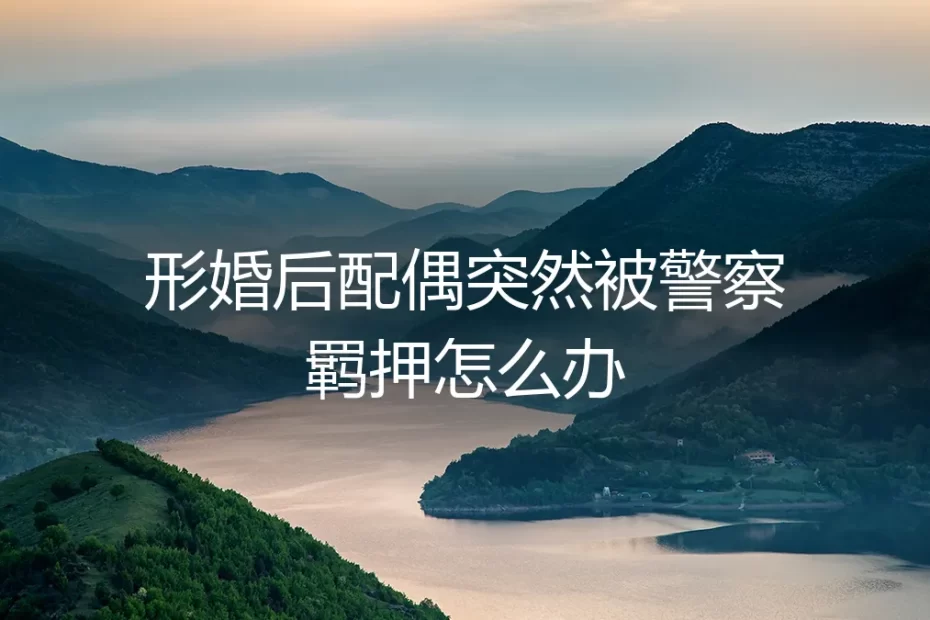 形婚伴侣突遭羁押:法律风险、应对策略与长期平衡之道