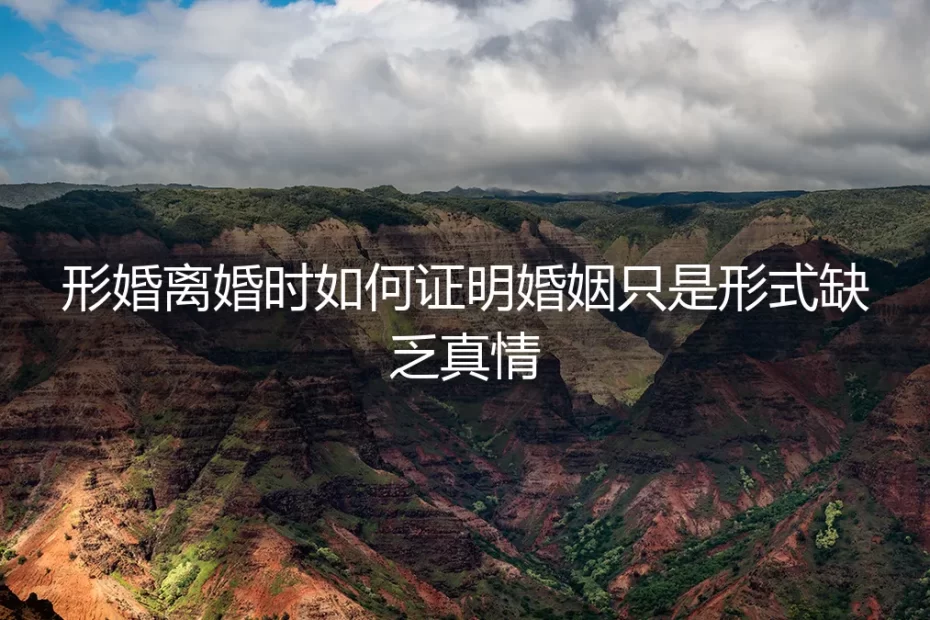 形婚离婚实操避坑指南：如何证明婚姻仅为形式缺乏真情