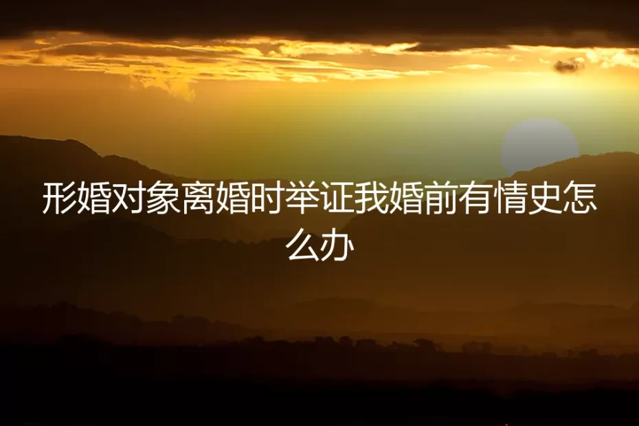 形婚对象离婚时举证婚前情史的法律攻防与风险规避