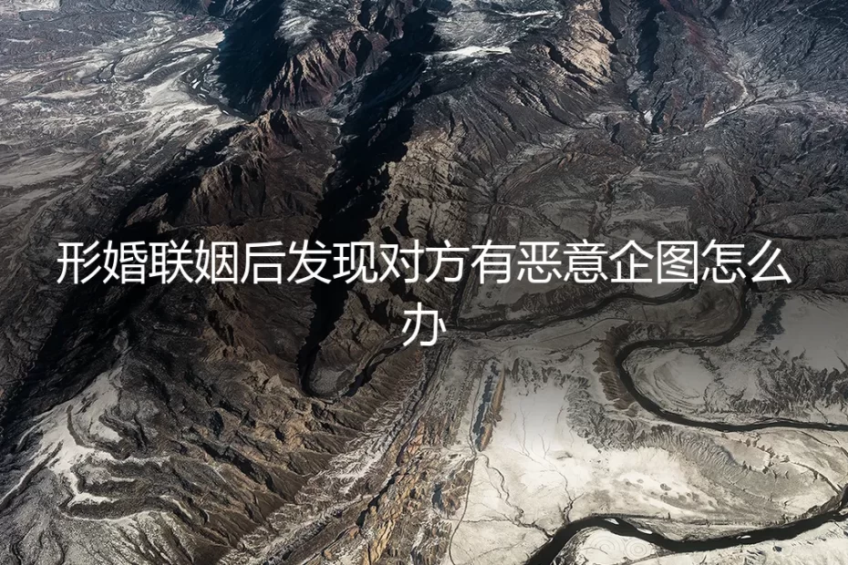 形婚联姻后发现对方有恶意企图:真实困境与破局指南
