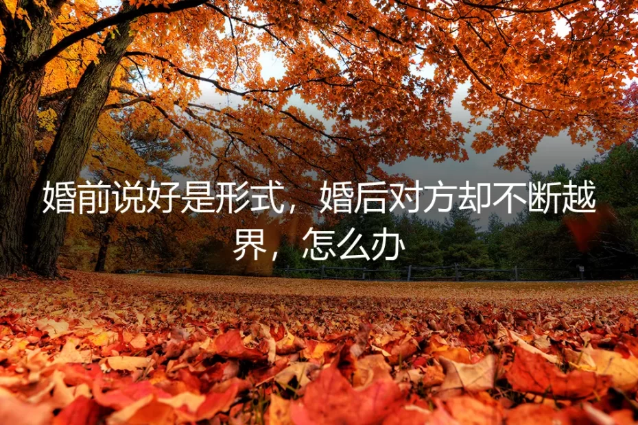 形婚后对方不断越界:契约精神失效,如何守住底线?