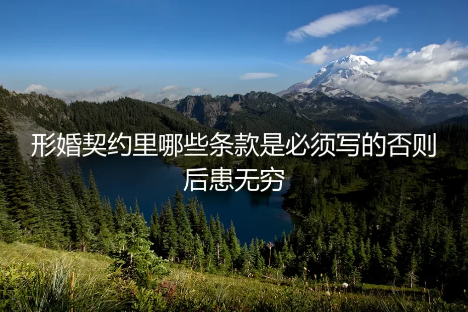 形婚契约里哪些条款是必须写的？否则后患无穷的保姆级避坑指南