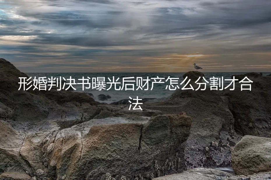 形婚判决书曝光后,财产分割的合法路径与风险规避