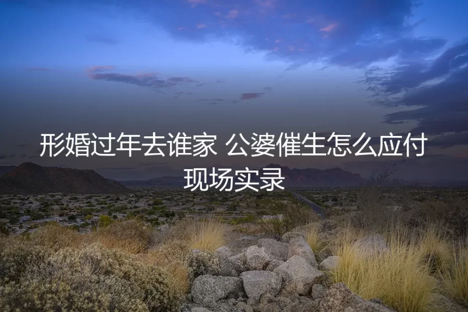 形婚过年去谁家？公婆催生现场实录与深度破局