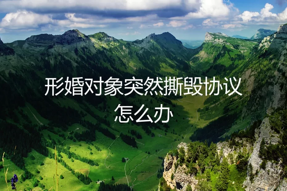 形婚协议突遭撕毁:如何应对与化解危机