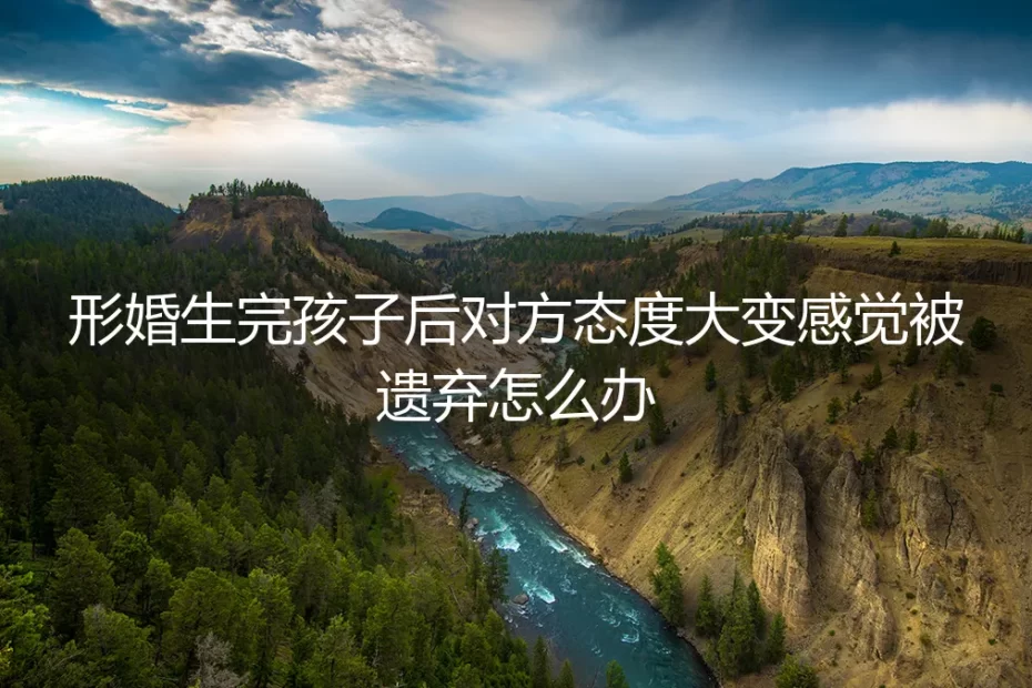 形婚后,伴侣态度骤变,感觉自己被“用过即弃”怎么办?
