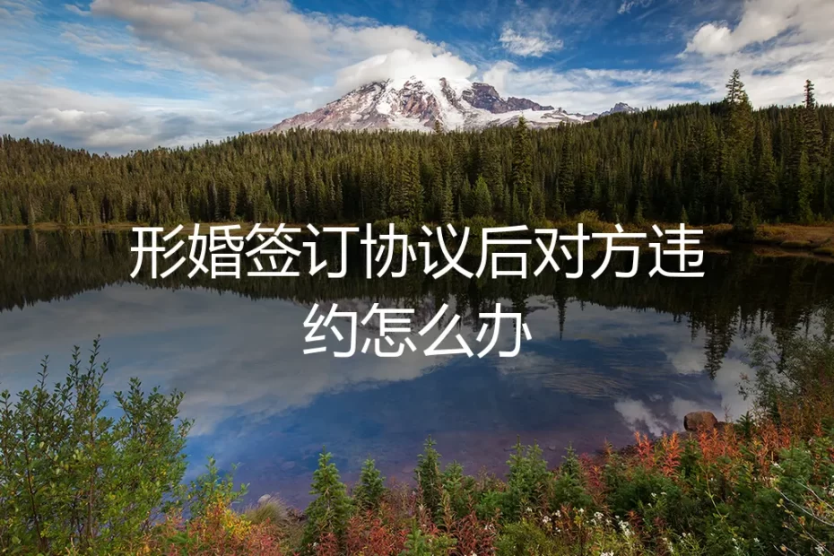 形婚协议签订后对方违约,如何应对与止损?