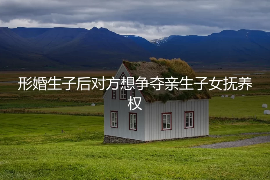 形婚生子后对方想争夺抚养权：一场没有硝烟的战争如何破局？