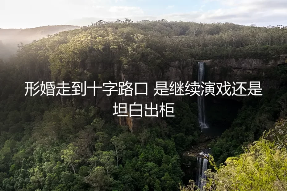 形婚走到十字路口:是继续演戏,还是坦白出柜?