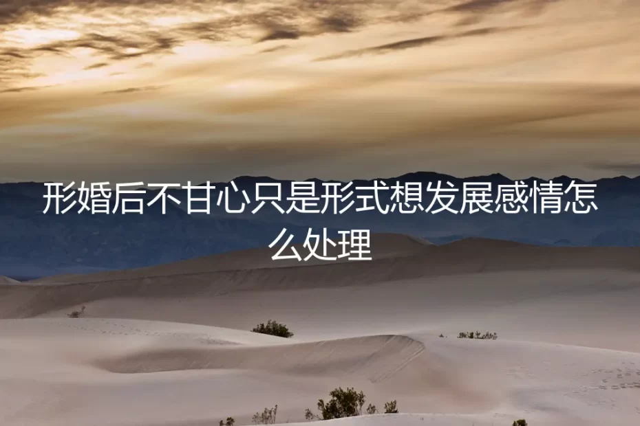 形婚的边界：当形式开始渴望温度