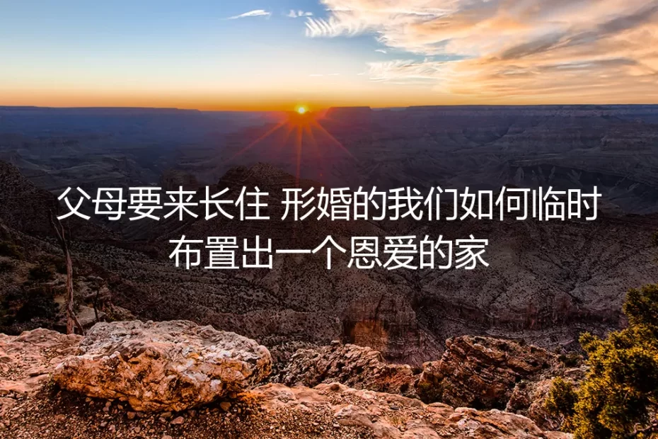 父母长住突击检查？形婚伴侣的“恩爱之家”临时布置与风险规避全指南