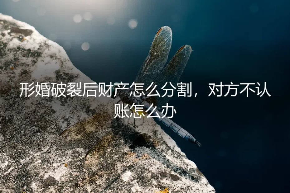 形婚破裂后财产分割困局：对方不认账的应对策略与风险防范