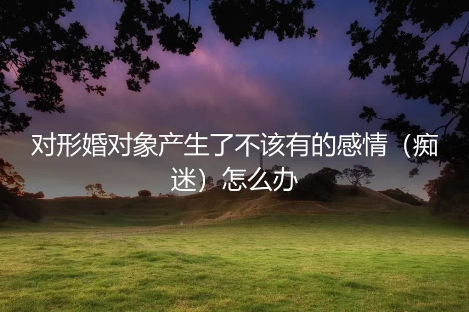 当协议长出枝丫:我如何面对那份不该有的心动