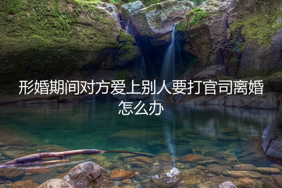形婚期间对方爱上他人欲离婚:法律风险与应对策略深度剖析