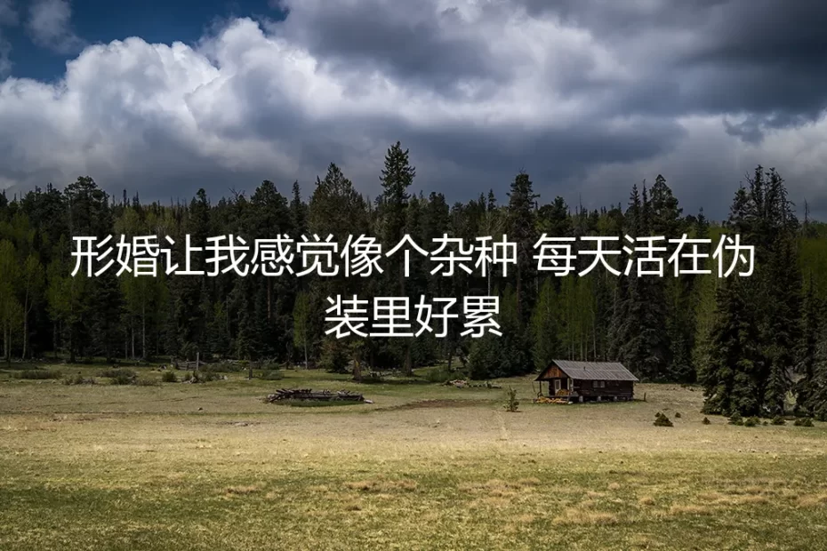 当形婚成为我的第二张脸：一场关于真实与伪装的漫长和解
