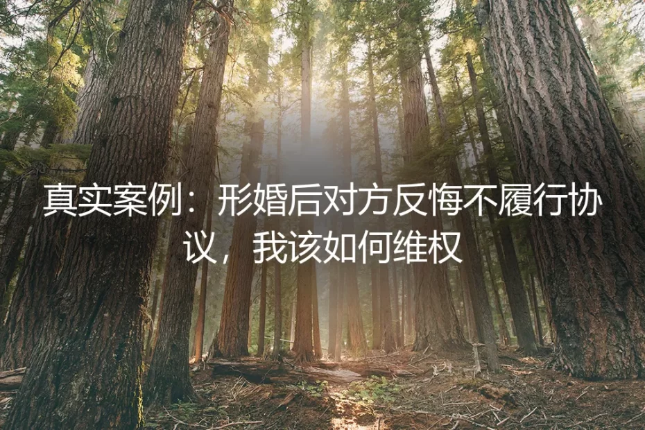 真实案例剖析：形婚协议遭反悔，如何有效维权守住底线