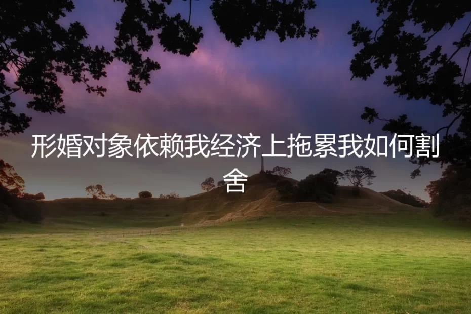 形婚中的经济困局:当“伴侣”成为经济拖累,如何理性割舍与止损?