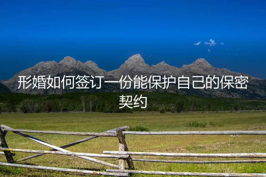 形婚保密契约全攻略：从条款设计到法律执行的保姆级避坑指南