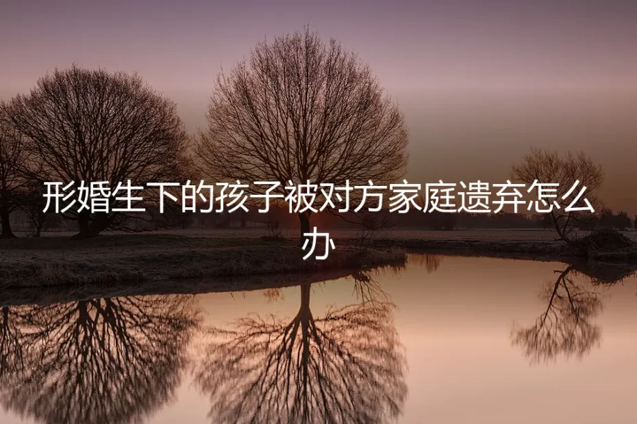 形婚生子后遭遗弃:法律困境、情感博弈与破局之路
