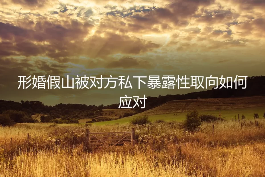 形婚危机：当“假山”被伴侣单方面暴露性取向，如何破局与自救？