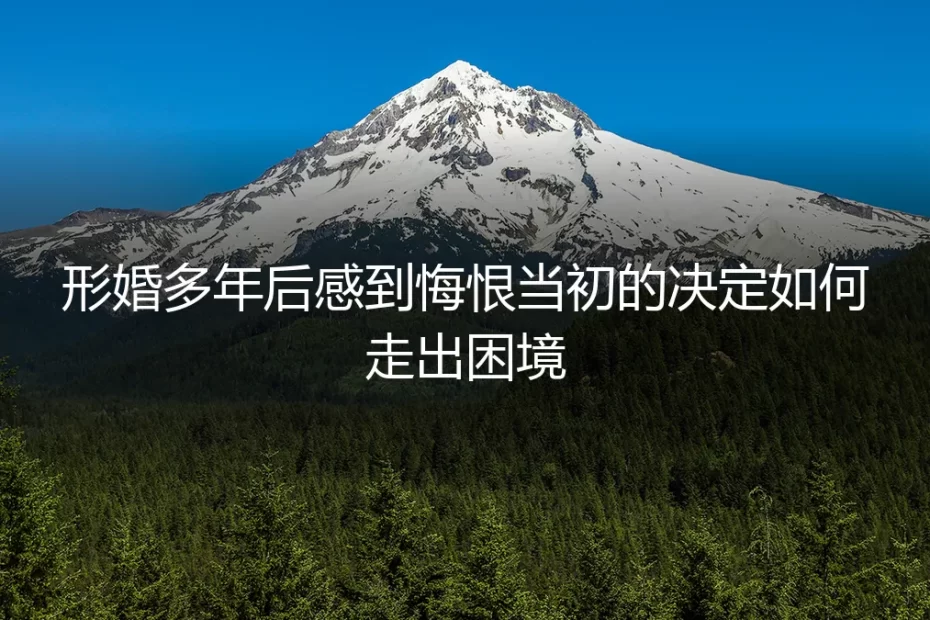 七年形婚协议背后：当假面开始剥落时