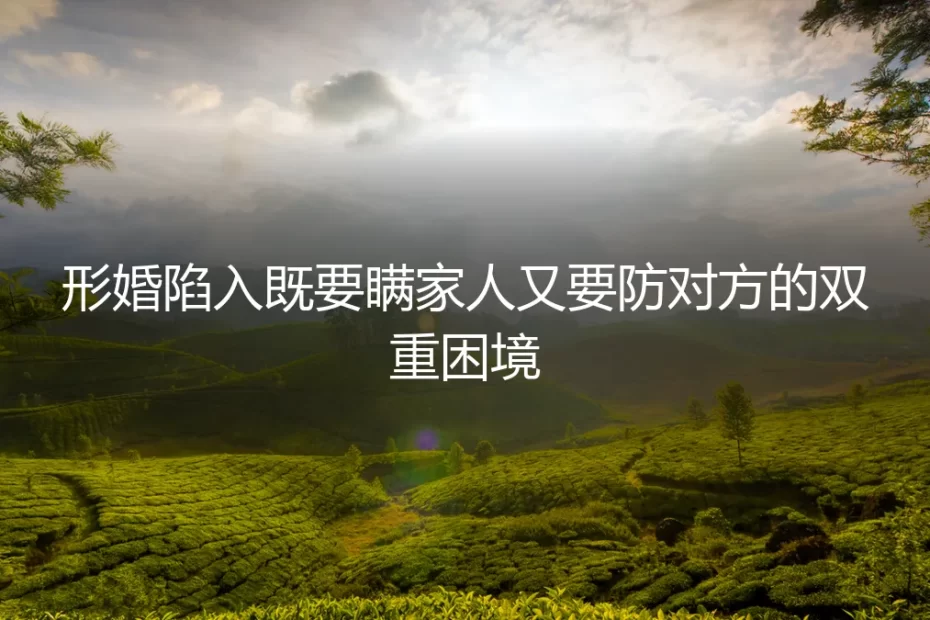 双重困境:形婚里的谎言与防线