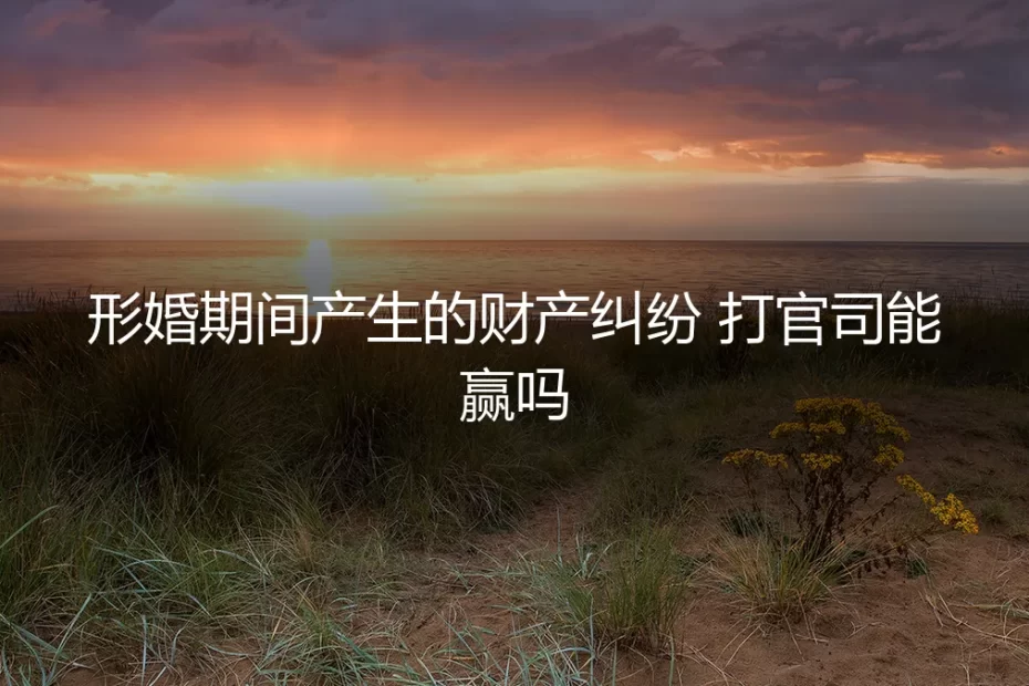 形婚期间财产纠纷:打官司能赢吗?深度剖析法律风险与制胜关键
