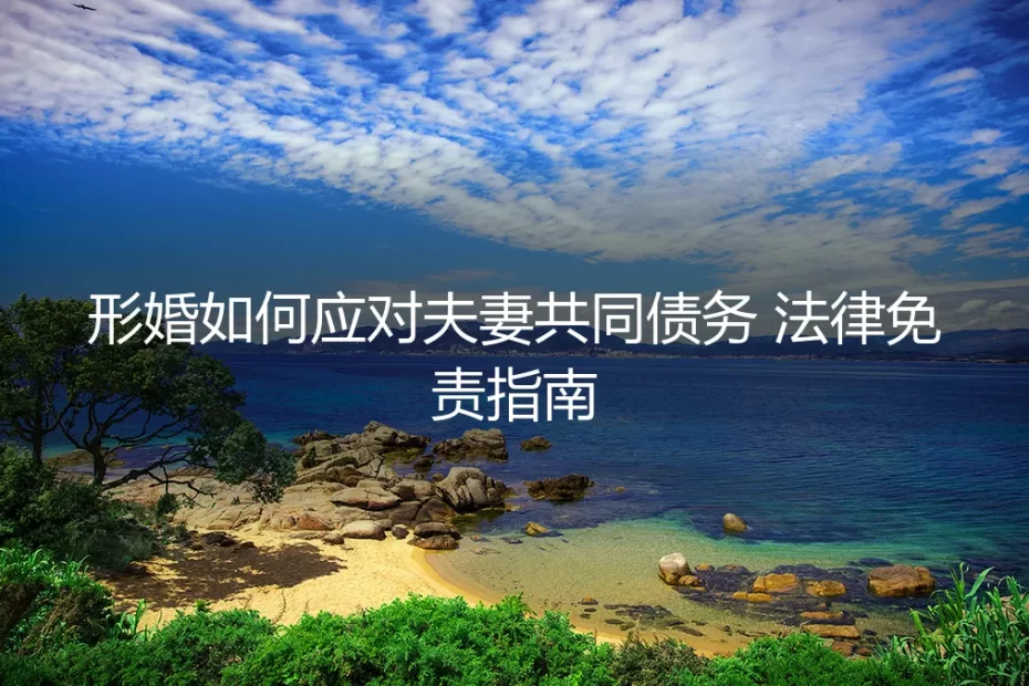 形婚避坑指南:如何应对夫妻共同债务,实现法律免责