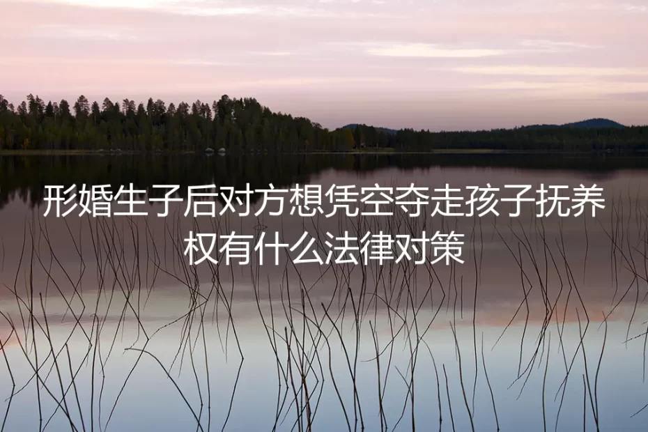 形婚生子后，对方争夺抚养权？法律对策与风险防范全指南