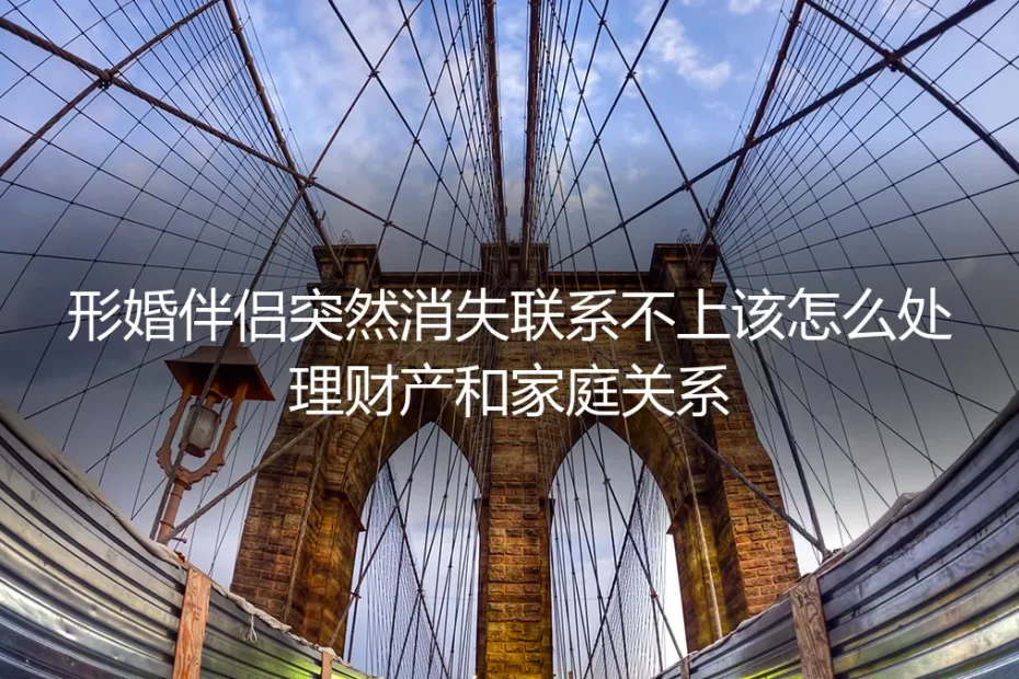 形婚伴侣失联危机：财产分割与家庭关系如何破局？