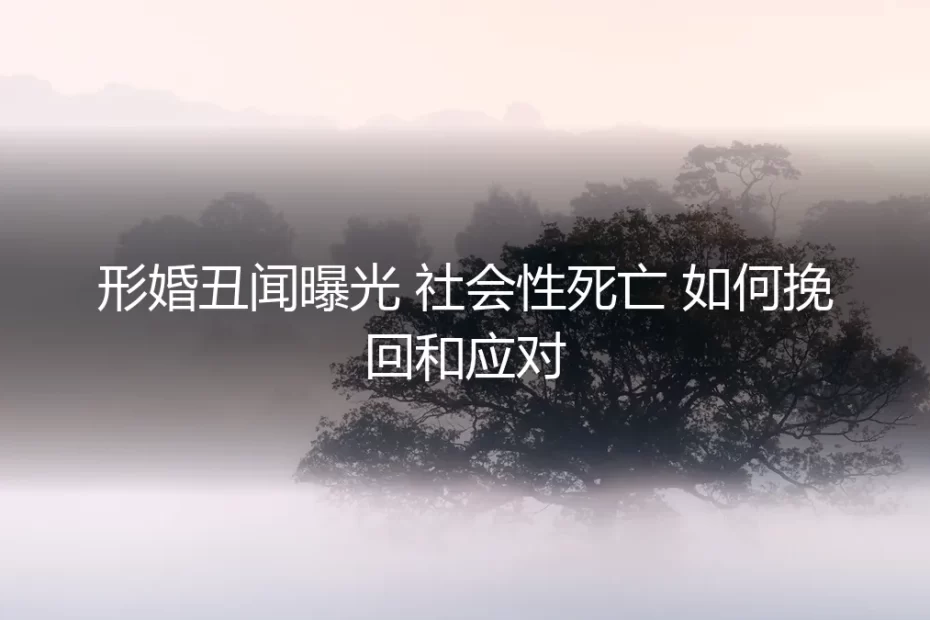 形婚丑闻曝光后如何应对：从“社会性死亡”到危机挽回的实操指南