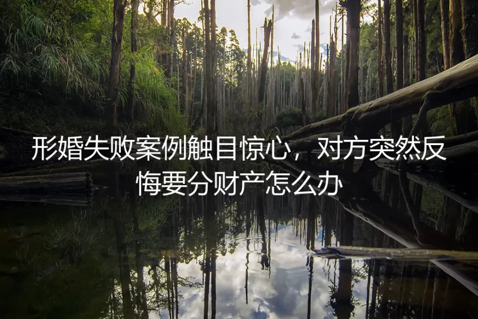 形婚失败对方突然反悔要分财产？真实案例剖析与法律应对