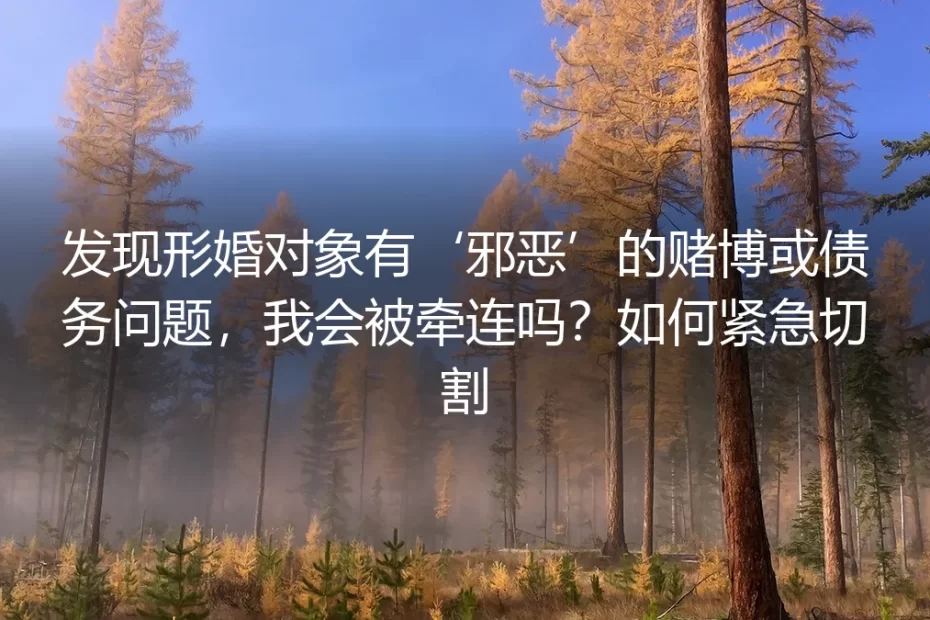 形婚对象有赌博或债务问题，我会被牵连吗？如何紧急切割？