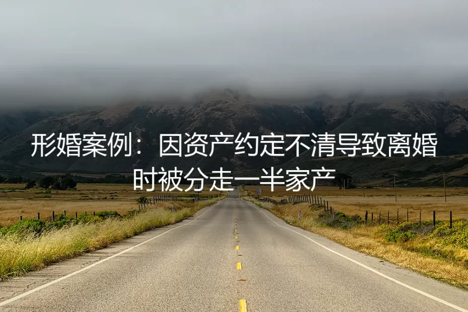 形婚资产约定不清的惨痛教训：一场被分走半壁江山的“合作”