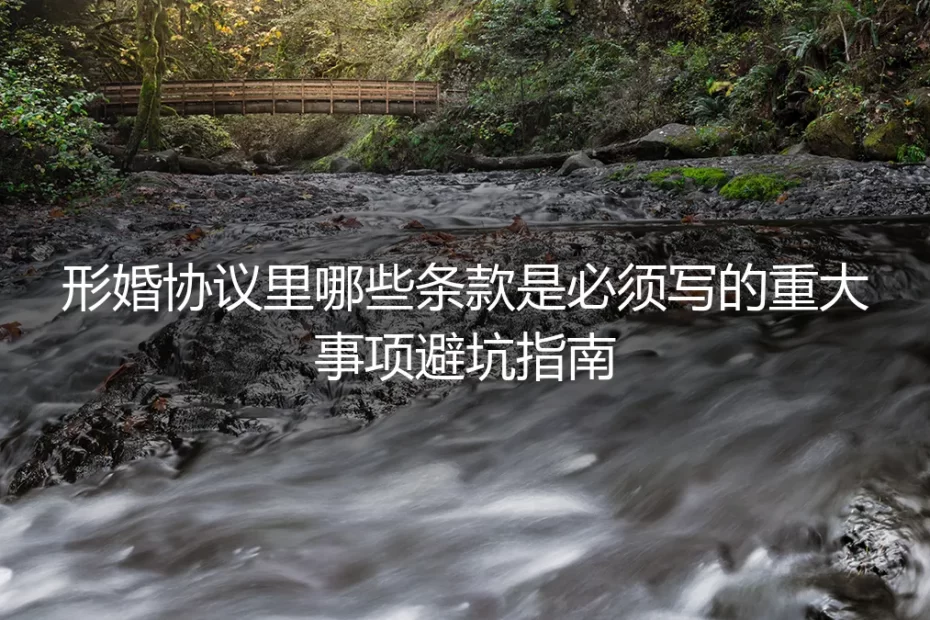 形婚协议里哪些条款是必须写的？重大事项避坑指南