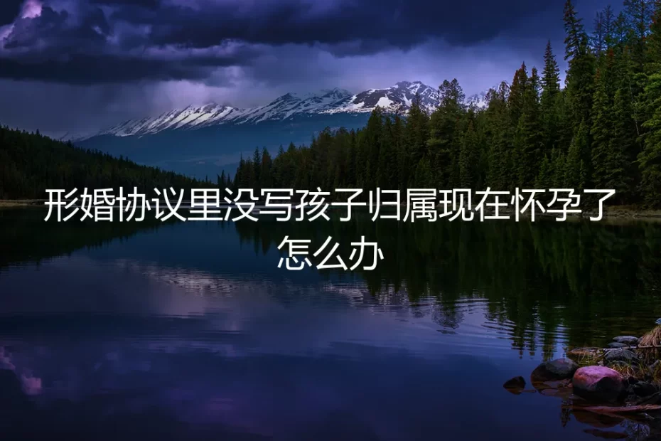 形婚协议未约定孩子归属，意外怀孕后的法律与情感困局