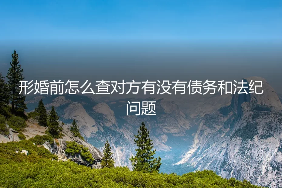 形婚前必查:如何彻底核查对方债务与法纪风险(保姆级避坑指南)