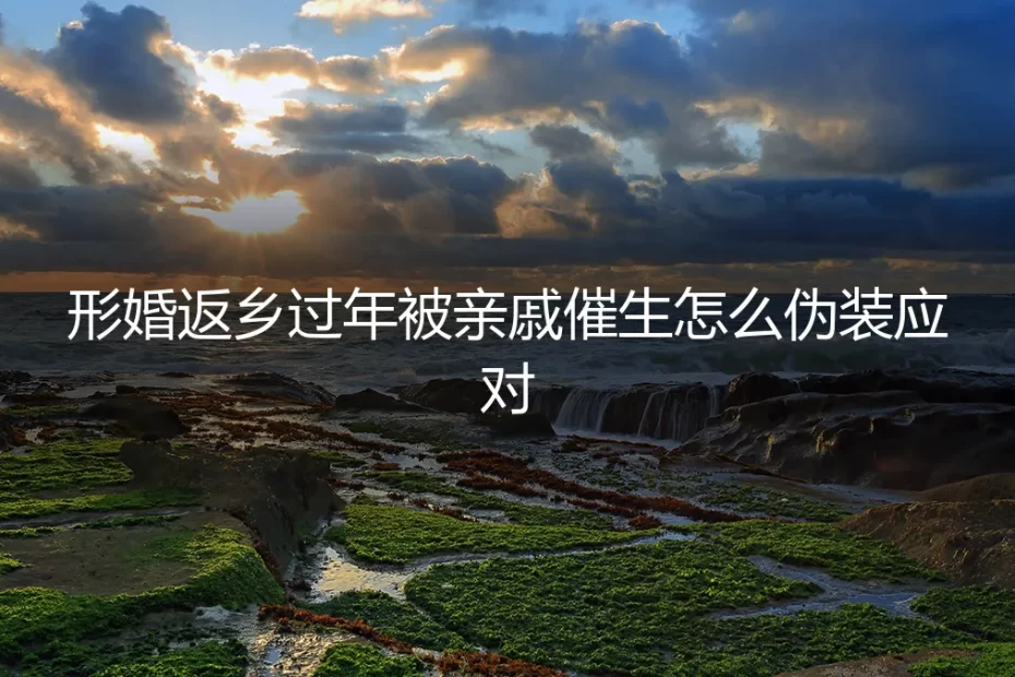 形婚返乡过年被亲戚催生?保姆级伪装应对与风险规避指南