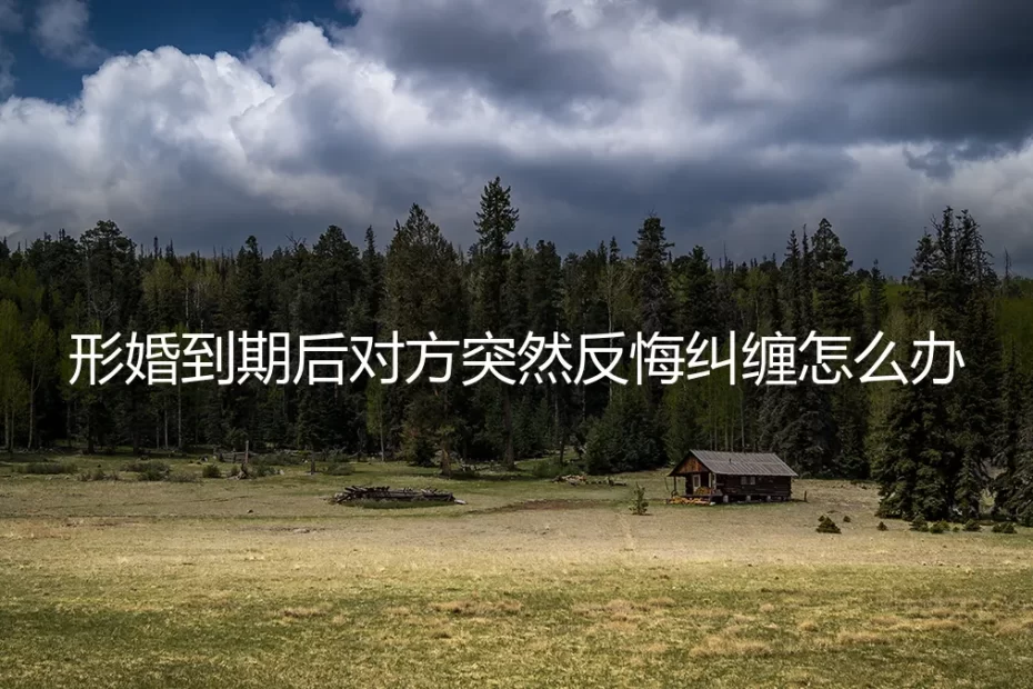 形婚协议到期，对方反悔纠缠：如何依法破局与心理切割