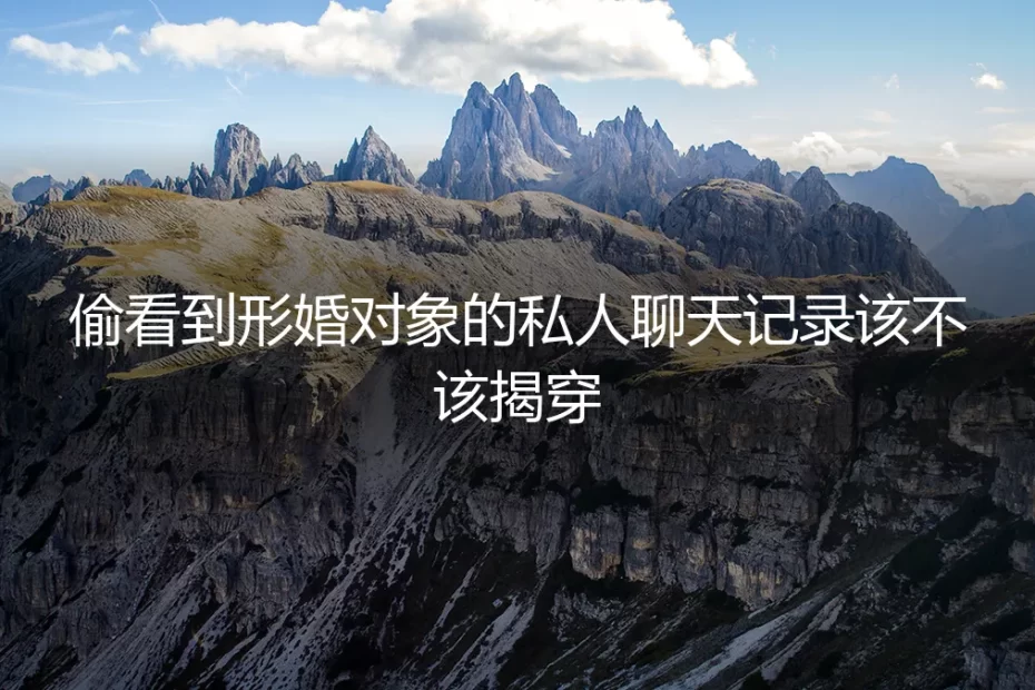手机屏幕亮起时:我偷看了形婚对象的秘密聊天