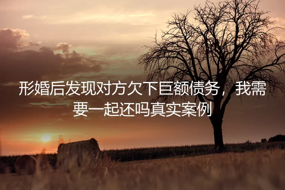 形婚后发现对方欠下巨额债务，我需要一起还吗？一个真实的案例剖析